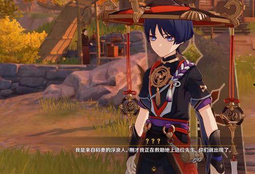 散兵身世爆料视频大全集,视频大全集深度解析